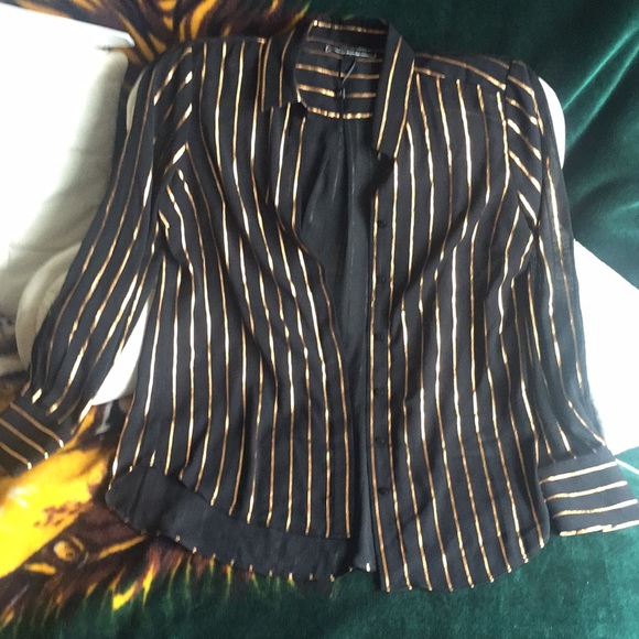 Sheer Striped Blouse - Picture 1 of 5